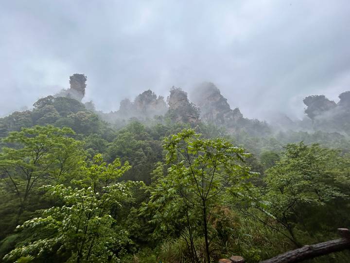 Misty sandstone pillar forest cloaked in lush green vegetation under a low cloud ceiling.