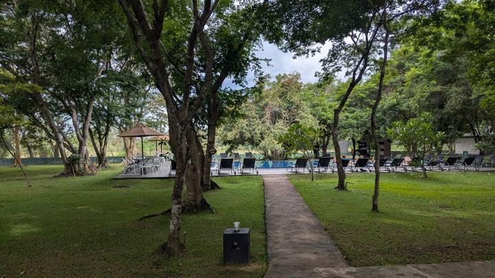 Lawn area with mature trees, sun loungers and umbrellas surrounding a tranquil hotel swimming pool.