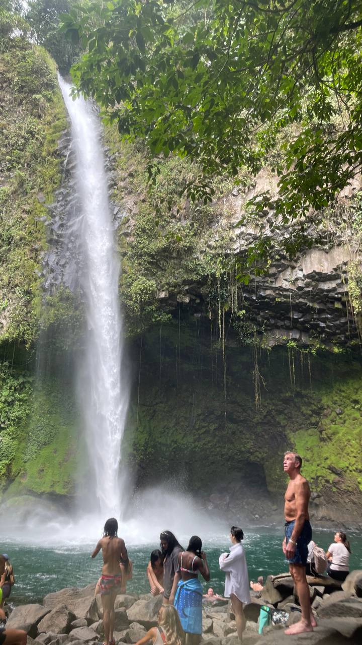 Tall jungle waterfall cascades into a mossy rock pool surrounded by lush greenery.