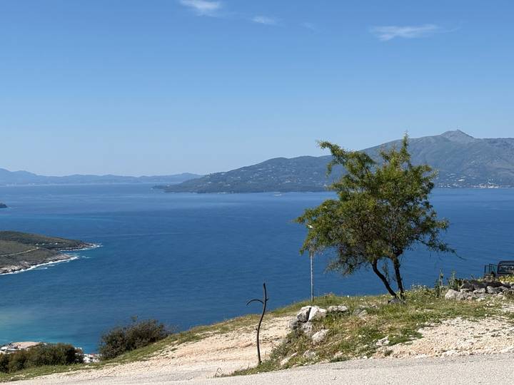 A lone tree stands on a grassy slope overlooking the deep blue Ionian Sea and distant islands.