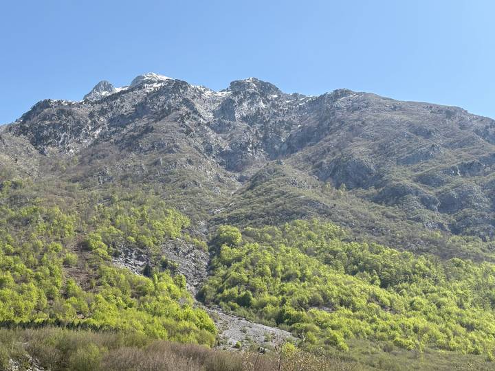 Snow-dusted alpine peaks rise sharply above dense spring greenery in northern Albania.