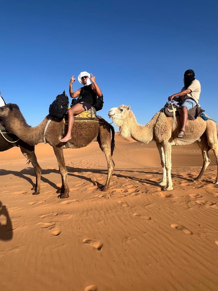 Line of camels with riders traversing golden desert sands, photographed side-on.