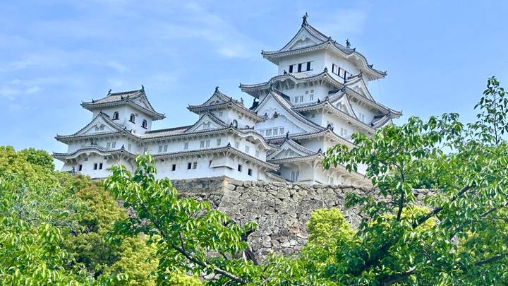 Elegant white Himeji Castle rising above lush green trees and massive stone base on a sunny day.