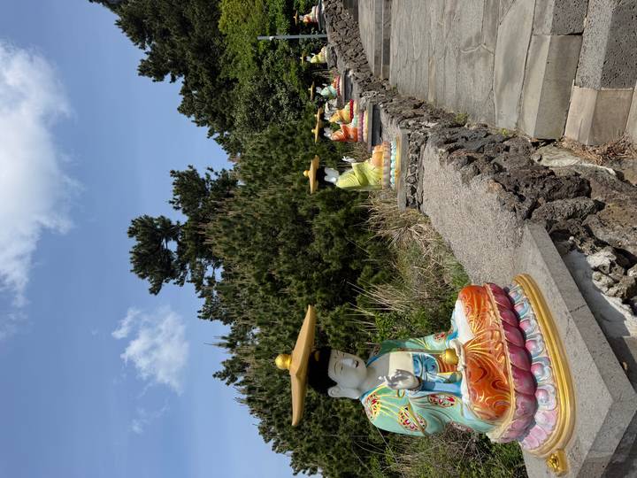 Row of colorful seated Buddha statues lines a stone path under sunny skies and pine trees.