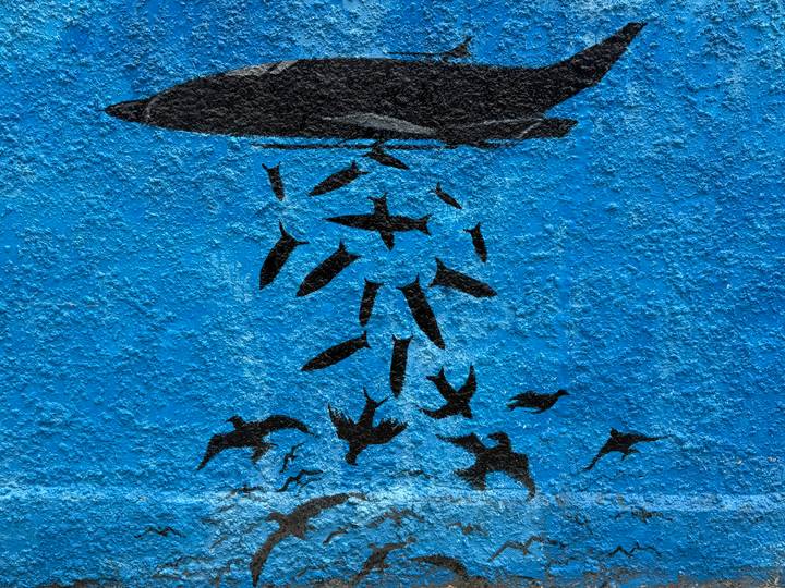 Close-up of a blue textured wall featuring a black stencil mural of birds or fish falling from an abstract shape.