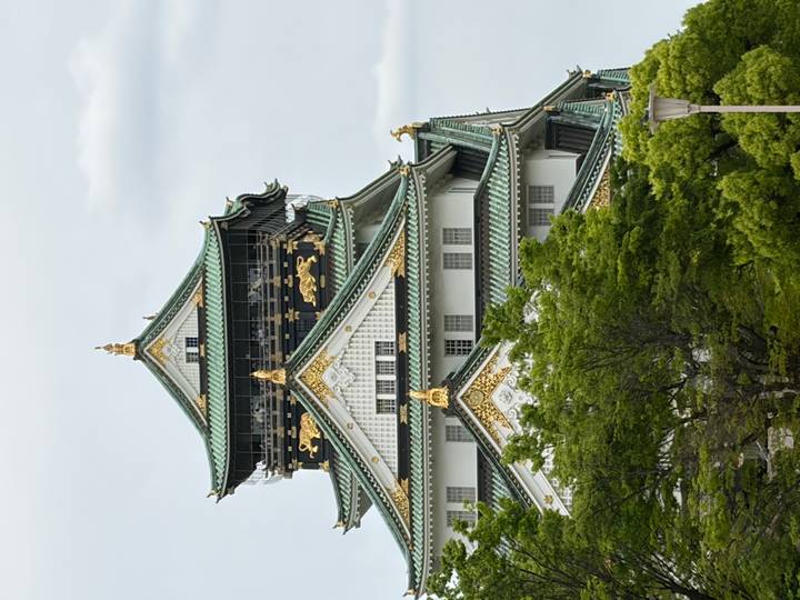 Elegant Osaka Castle with green-tiled roofs and gold accents framed by leafy trees.