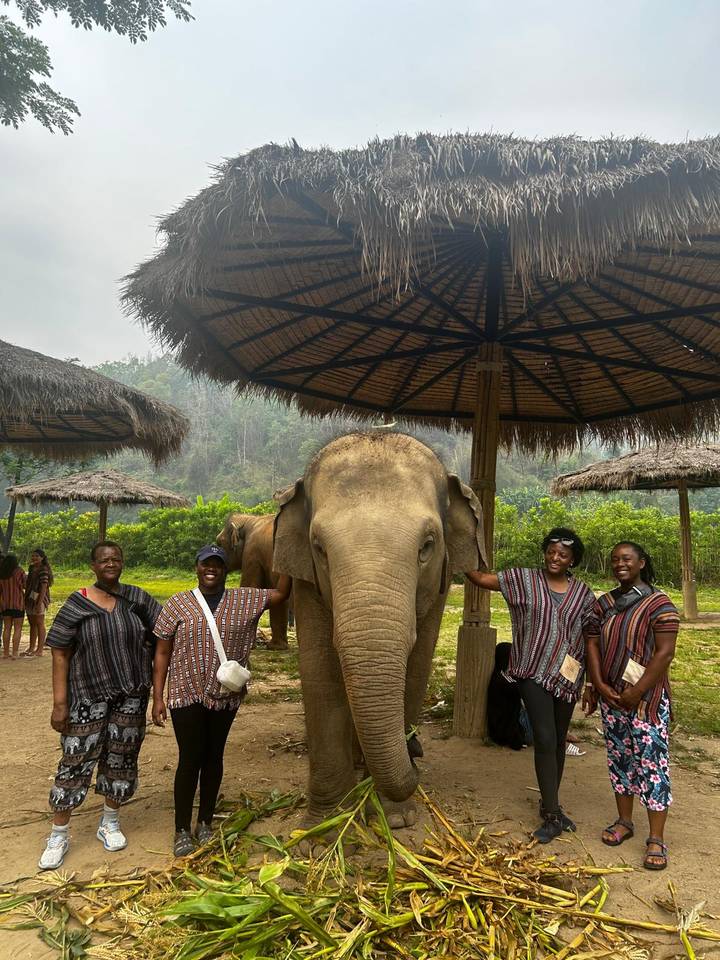 Smiling visitors standing with a rescued elephant under thatched shade structures in a sanctuary.