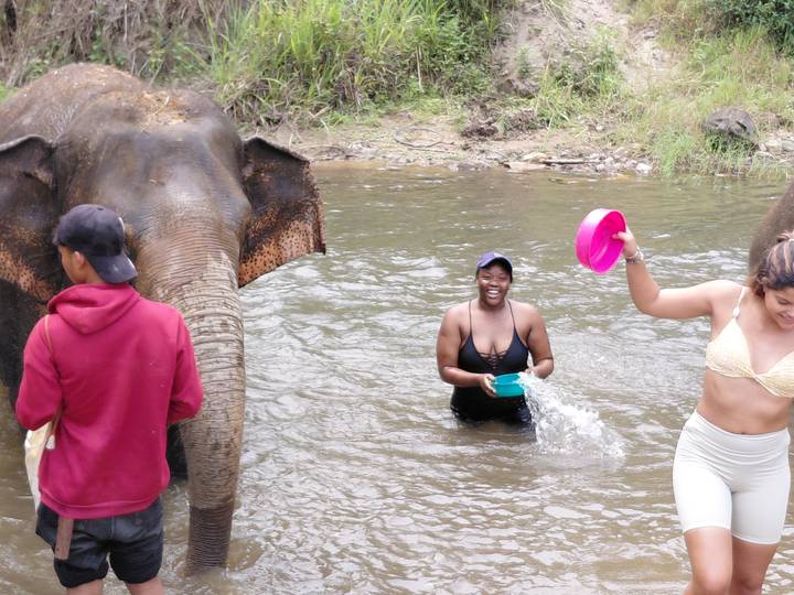Tourists splashing water while bathing an elephant in a muddy river.