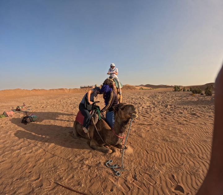 Friends mounting camels on sandy desert plain at sunset.