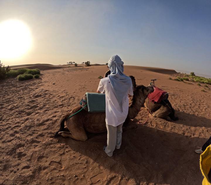 Traveler stands beside resting camel among rolling desert dunes at dusk.