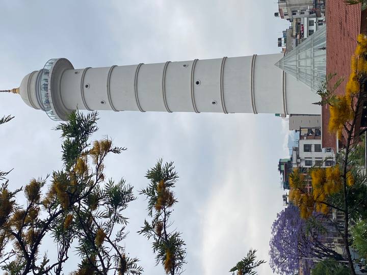 Tall white Dharahara Tower rises above city rooftops with flowering tree branches in foreground.
