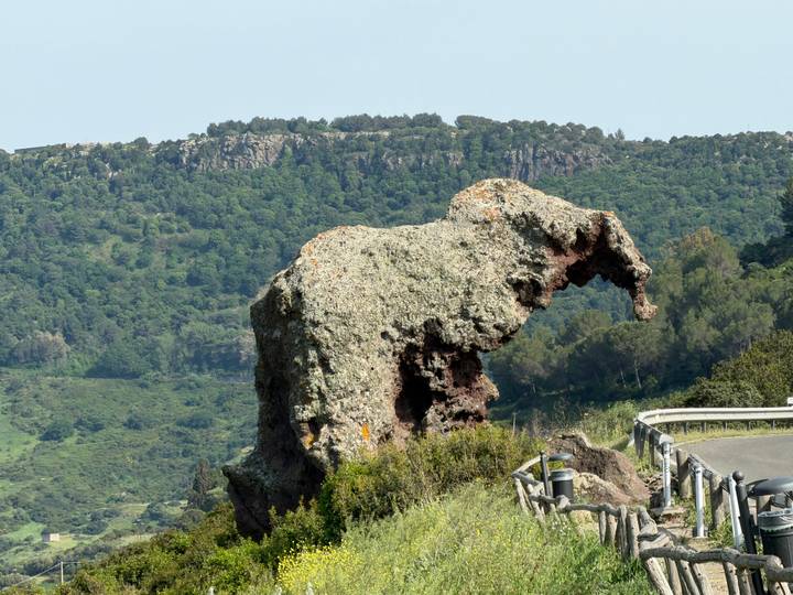Distinctive Elephant Rock volcanic formation resembling an elephant’s head against a forested backdrop.