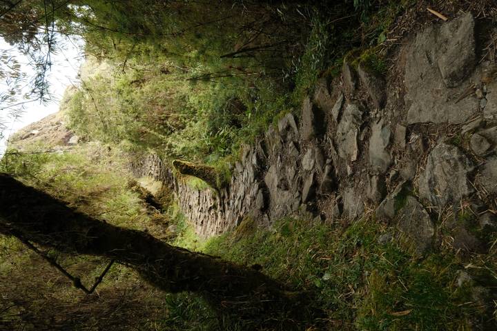 Ancient Inca stone pathway winding through mossy forest on the Inca Trail.