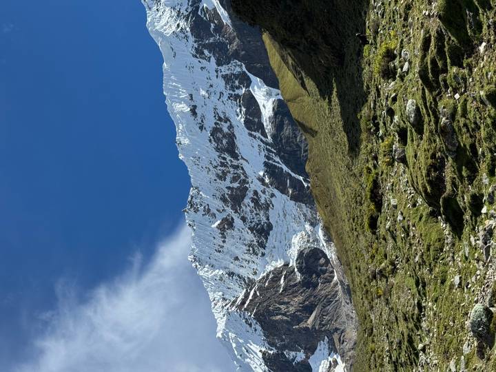 Brightly lit Salkantay glacier peak above grassy alpine meadows under a clear blue sky.