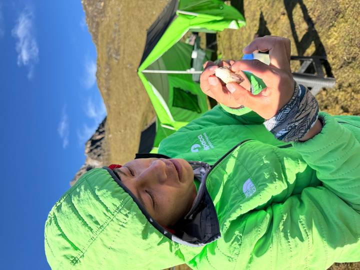 Outdoor guide in a bright green jacket examining a small stone at a mountain campsite with green tents and clear blue sky.