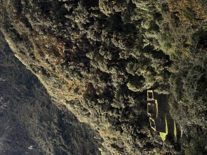 Dense jungle-covered hillside with small hidden Inca ruin at its base.