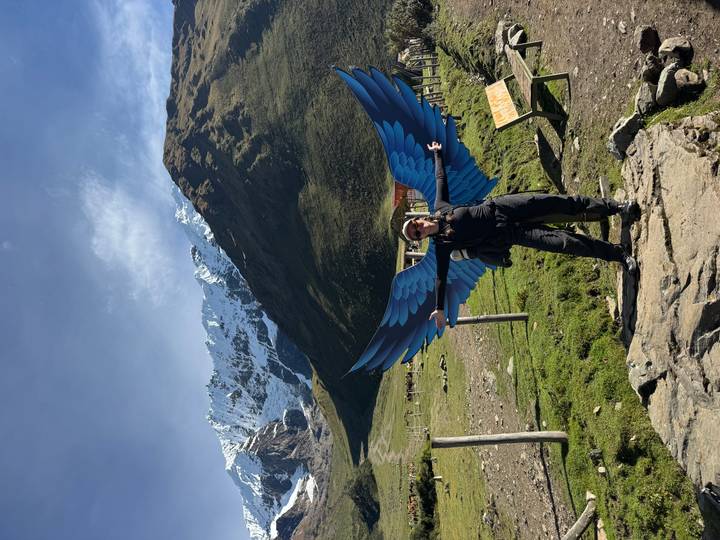 Traveler standing on rock with artistic blue wing installation and snowy mountain scenery.