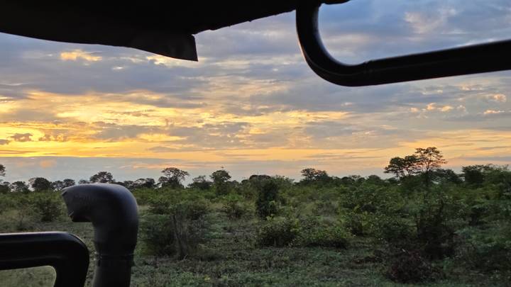 Golden sunset over Botswana bush viewed from inside a safari vehicle.