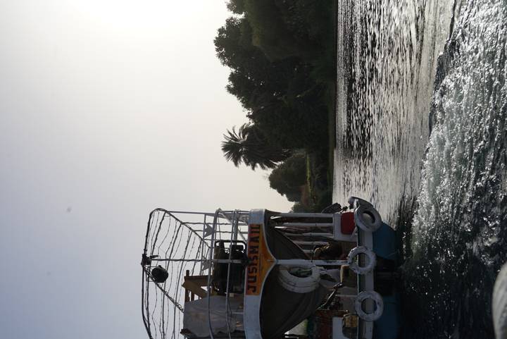 Small passenger boat leaving a foamy wake on the Nile at dusk with palm trees silhouetted on shore.