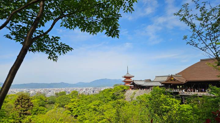 A panoramic view of Kyoto city from Kiyomizu-dera with its pagoda rising above green treetops under blue skies.