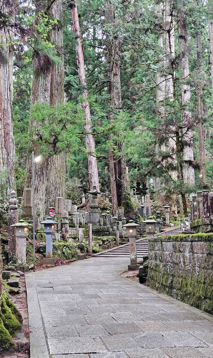 Moss-covered stone lanterns and gravestones line a pathway among towering cedar trees in a serene mountain cemetery.