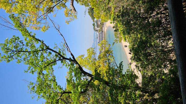 A coastal view of clear blue water and sandy beach framed by leafy trees with distant hills and buildings.