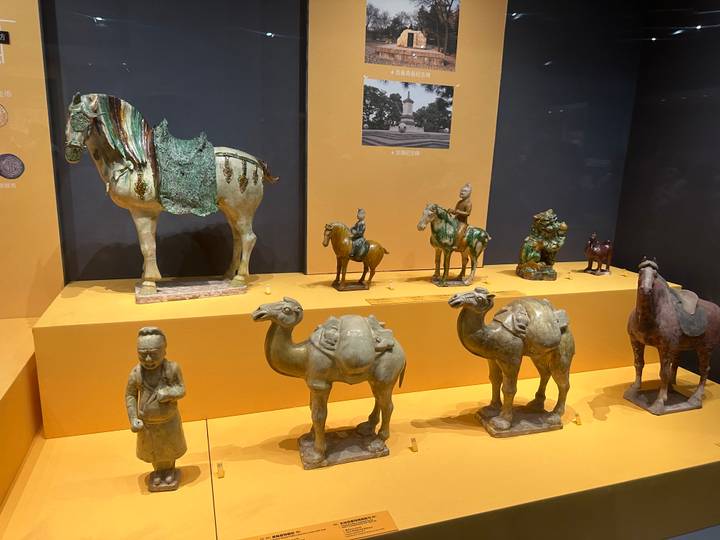 Museum display cases exhibit glazed Tang dynasty camel and horse figurines in warm lighting.
