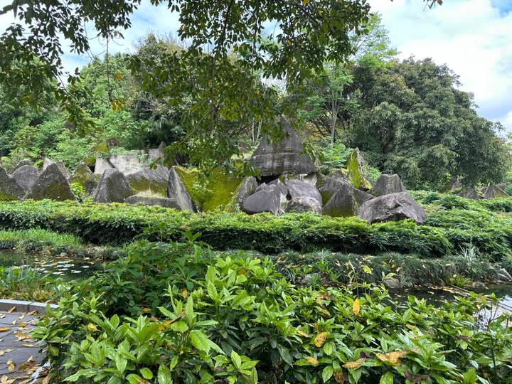Moss-covered jagged boulders arranged among dense foliage beside a small pond