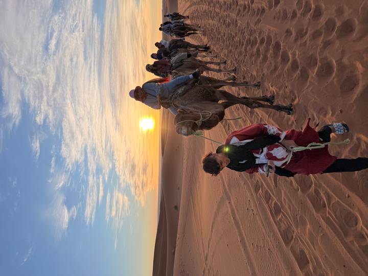 Camel caravan led by a guide marches across golden dunes at sunrise with bright sun on horizon.