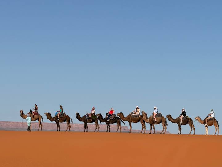 Long line of riders on camels traverses orange sand against a pure blue sky.