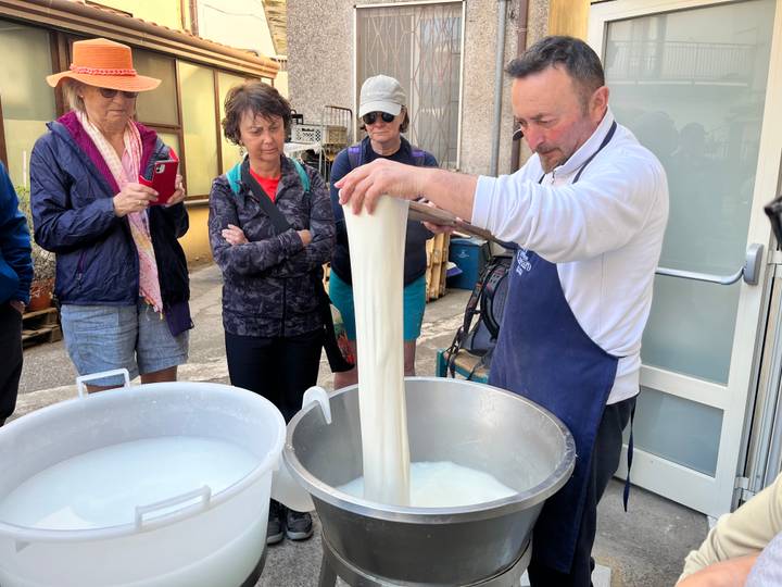 Local cheesemaker stretches fresh mozzarella while intrigued tourists watch during a food workshop