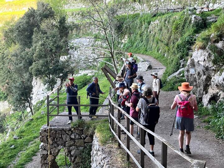 Hikers pause on a wooded trail overlooking a gorge while taking photos and enjoying the view