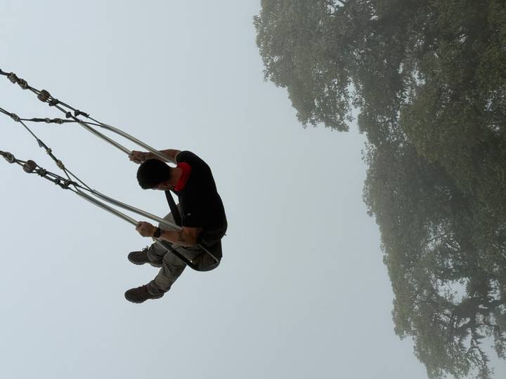 Adventurer soaring high on a giant swing into a misty abyss with treetops below.