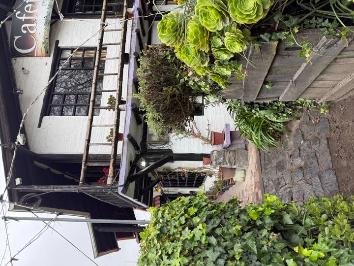 Quaint white brick cottage with stone steps and potted plants framed by green shrubs.