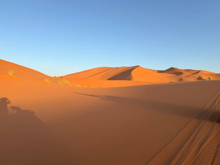 Smooth orange sand dunes and sweeping shadows beneath a clear morning sky in the Sahara.