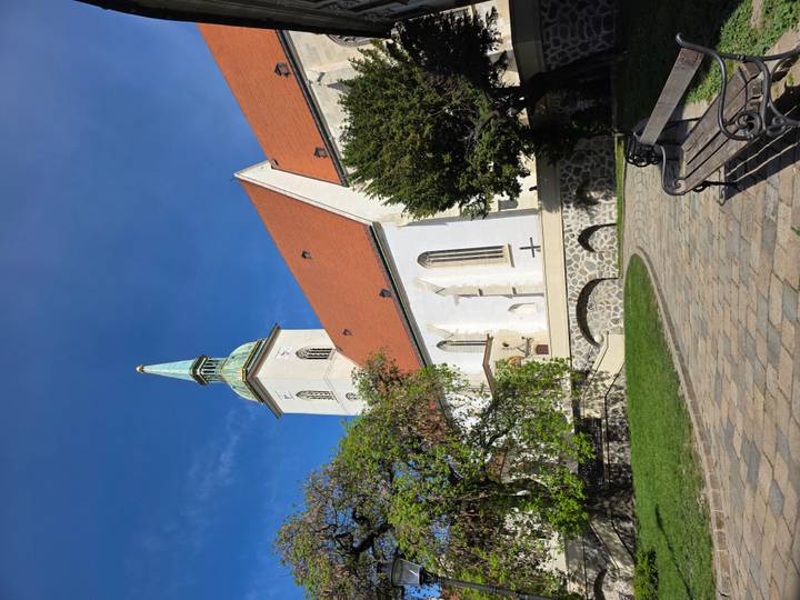 St Martin’s Cathedral with red-tiled roof and green spire framed by blue sky and spring foliage.