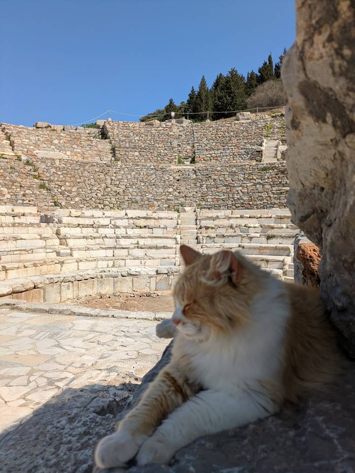 A ginger cat naps on stone steps overlooking the ancient amphitheatre at Ephesus.