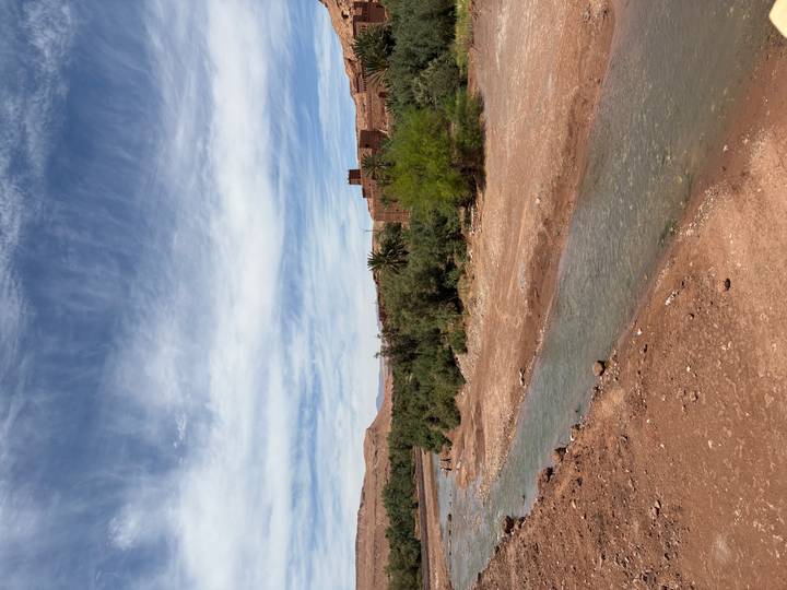 Shallow river winding through arid landscape with scattered palms under streaky sky