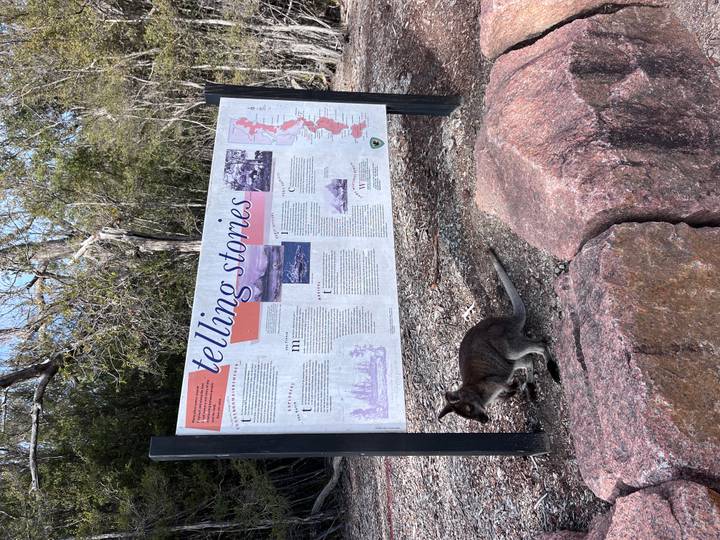 Interpretive park sign titled 'telling stories' with a small wallaby eating grass below it.