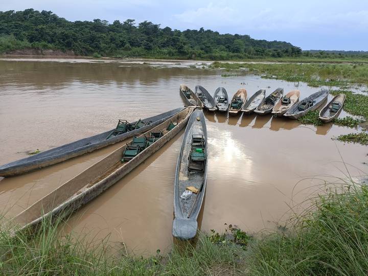 Row of narrow wooden canoes moored on a muddy river under overcast sky