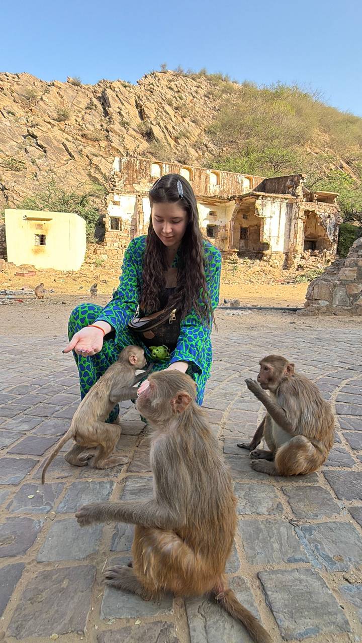 Traveller in vibrant clothing hand-feeds curious monkeys among ancient ruins.