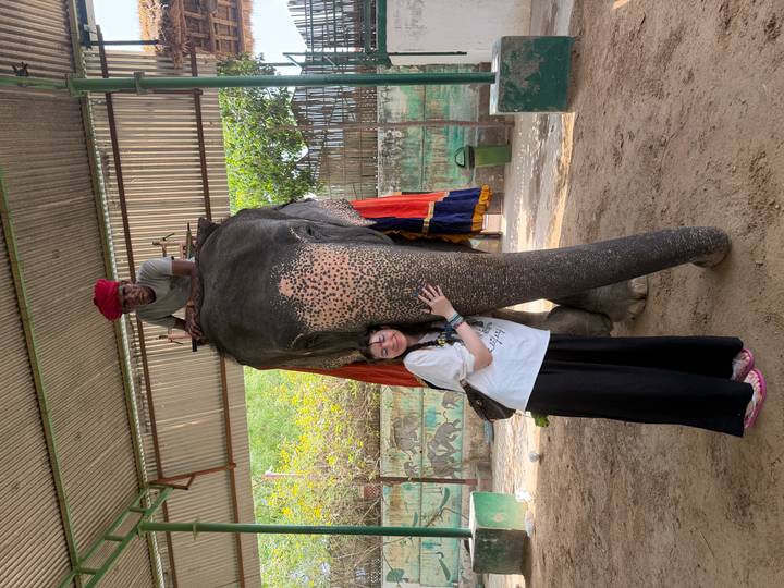 Traveller hugs a decorated elephant while the mahout sits atop in a shaded enclosure.