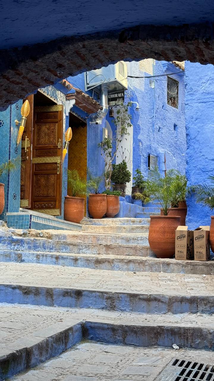 Bright blue alleyway in Chefchaouen with ornate wooden door, terra-cotta pots and tiled steps.