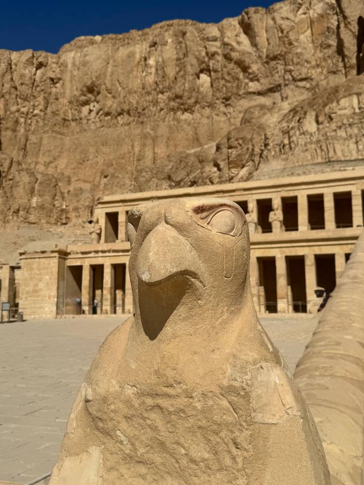Close-up of a carved falcon statue in front of the colonnaded Temple of Hatshepsut with desert cliffs behind