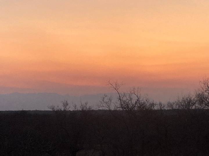 Orange-hued twilight sky over distant tree line and bare branches.