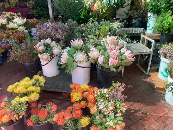 Buckets brimming with colorful protea and pincushion flowers at an outdoor market stall