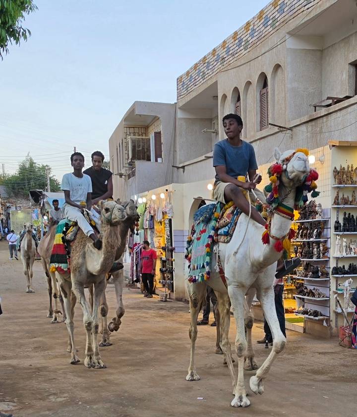 Young riders guiding camels through a small bazaar lined with souvenir stalls.