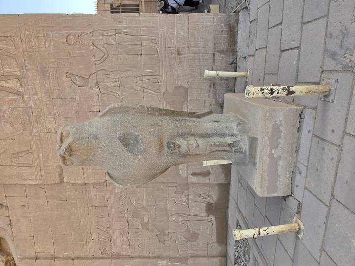 Front view of Horus falcon statue with detailed carving beside temple reliefs.