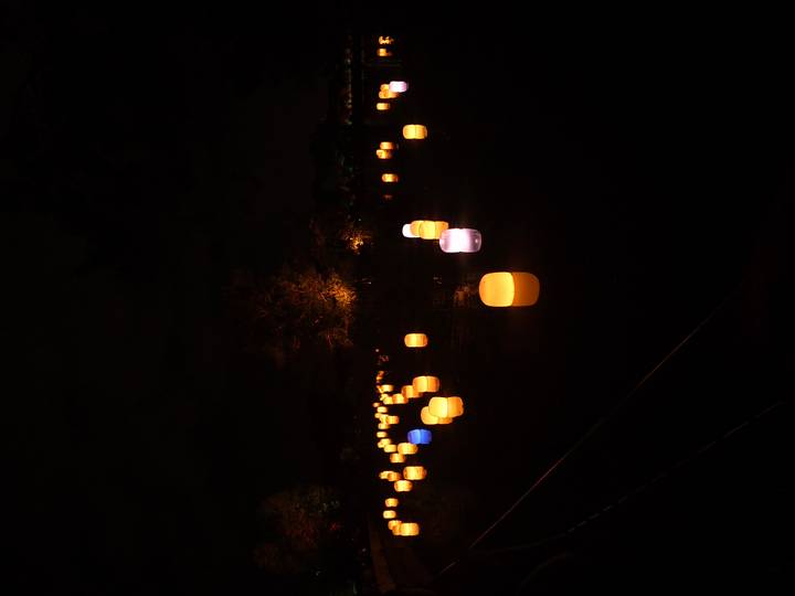 Nighttime scene of dozens of softly glowing multicolored lanterns floating or placed over water in a dark garden setting.