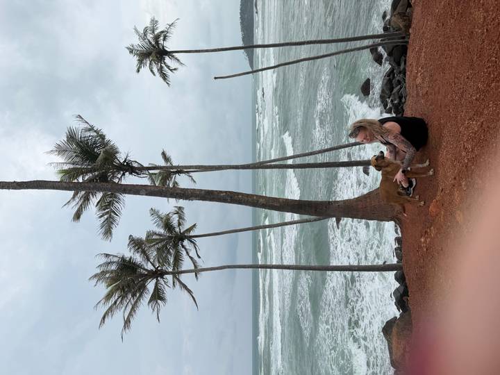Traveler pets a stray dog on a red-earth cliff beside rough ocean waves and leaning palm trees